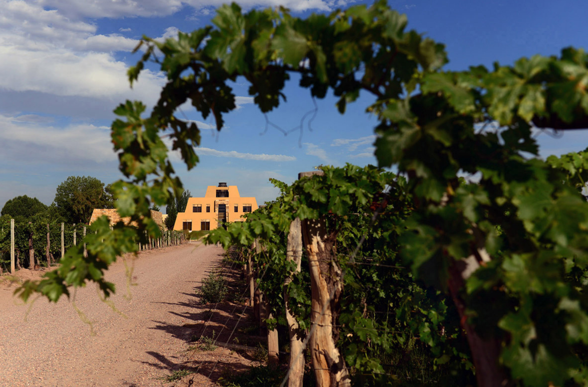 Argentina en los World’s Best Vineyards 2023