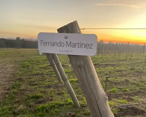 Lanzan la primera bodega de Pinamar