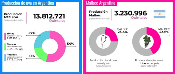 Malbec: 64% de las exportaciones de vino argentino, un gigante vitivinícola